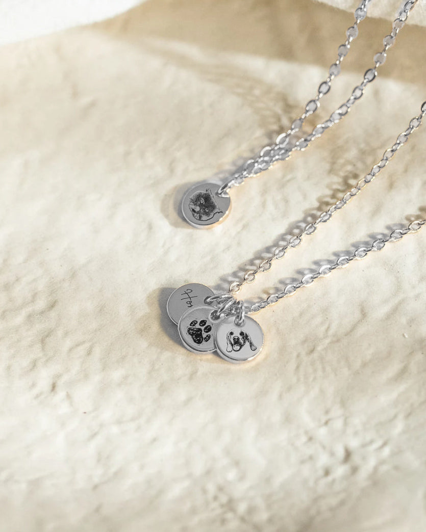 Collar Personalizado mascota plateado