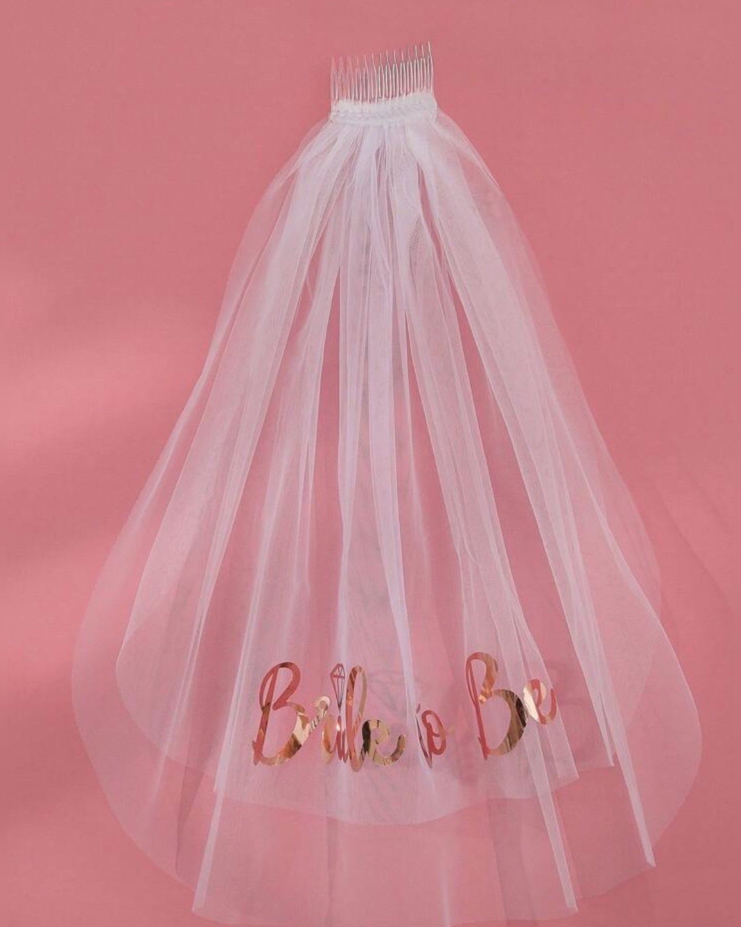 Bachelorette party veil