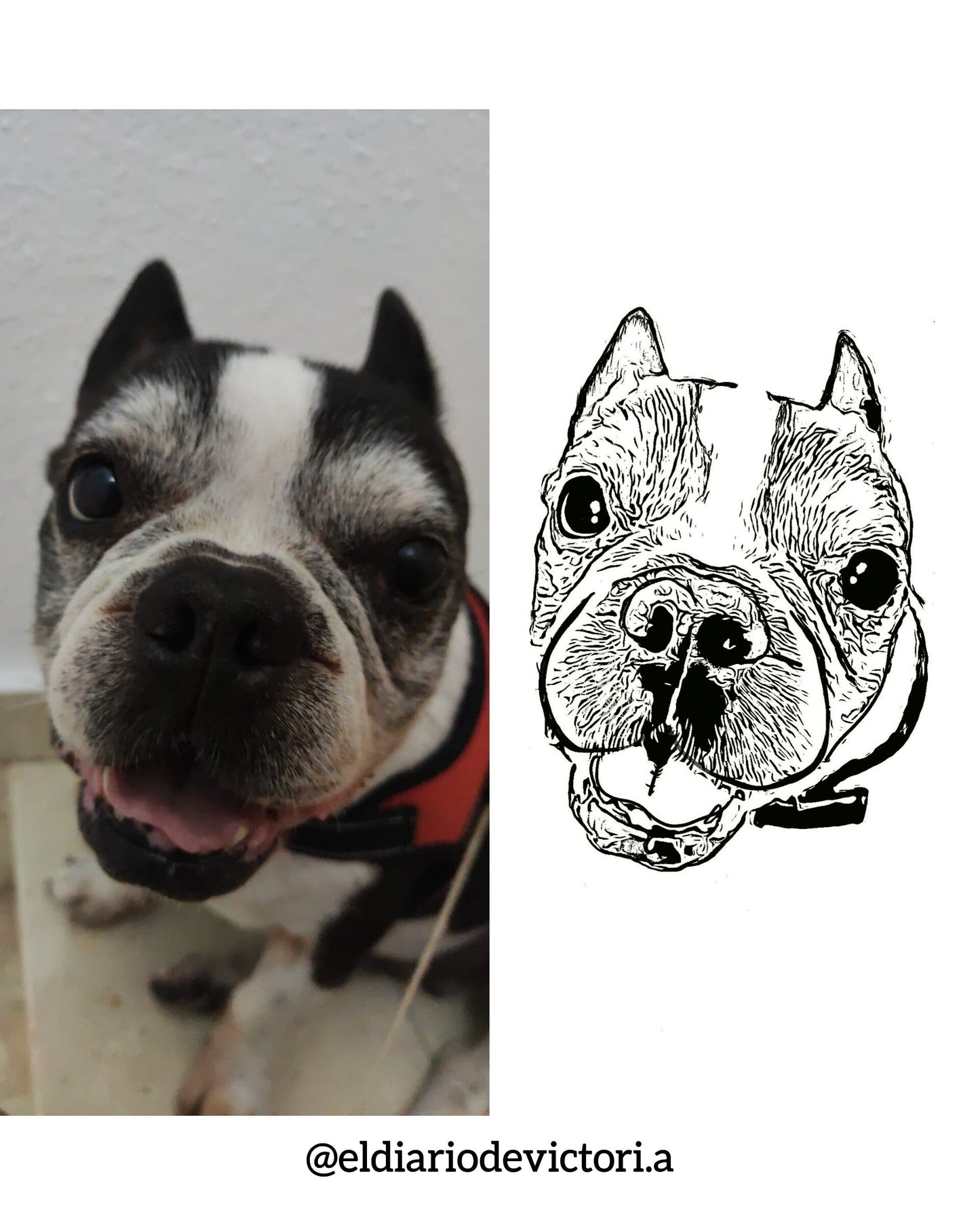 Brazalete Personalizada mascota plateado