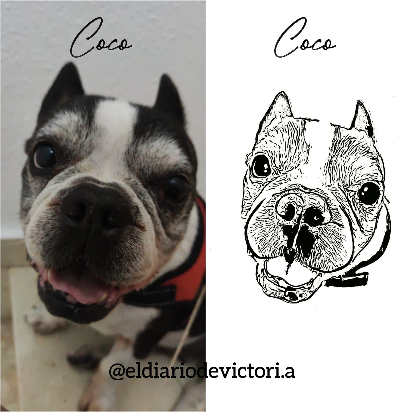 Personalisiertes silbernes Haustierarmband