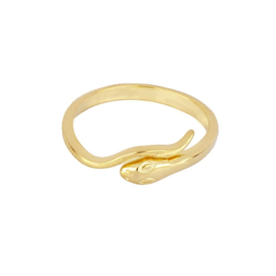 Anillo serpiente